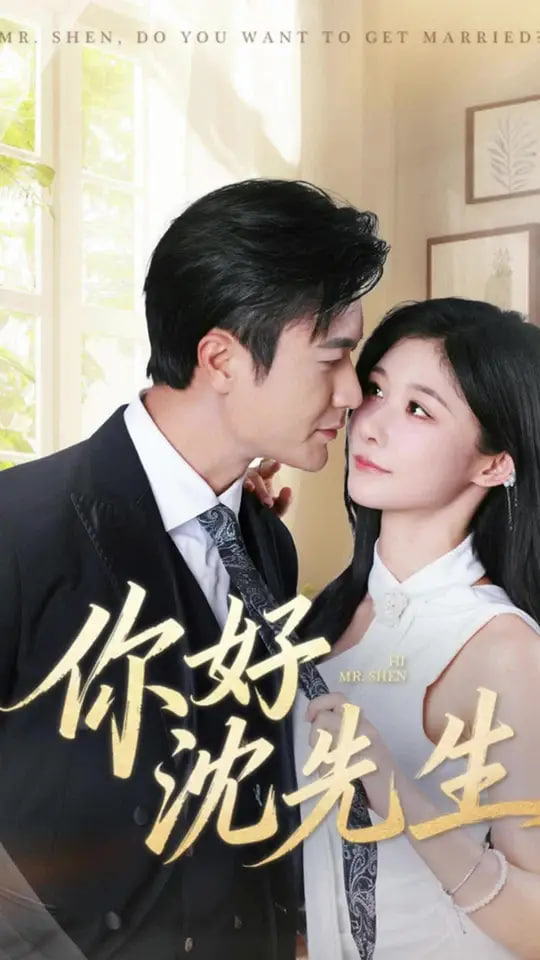 你好沈先生