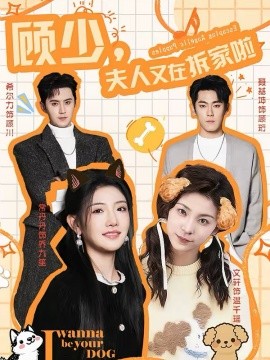 顾少，夫人又在拆家啦