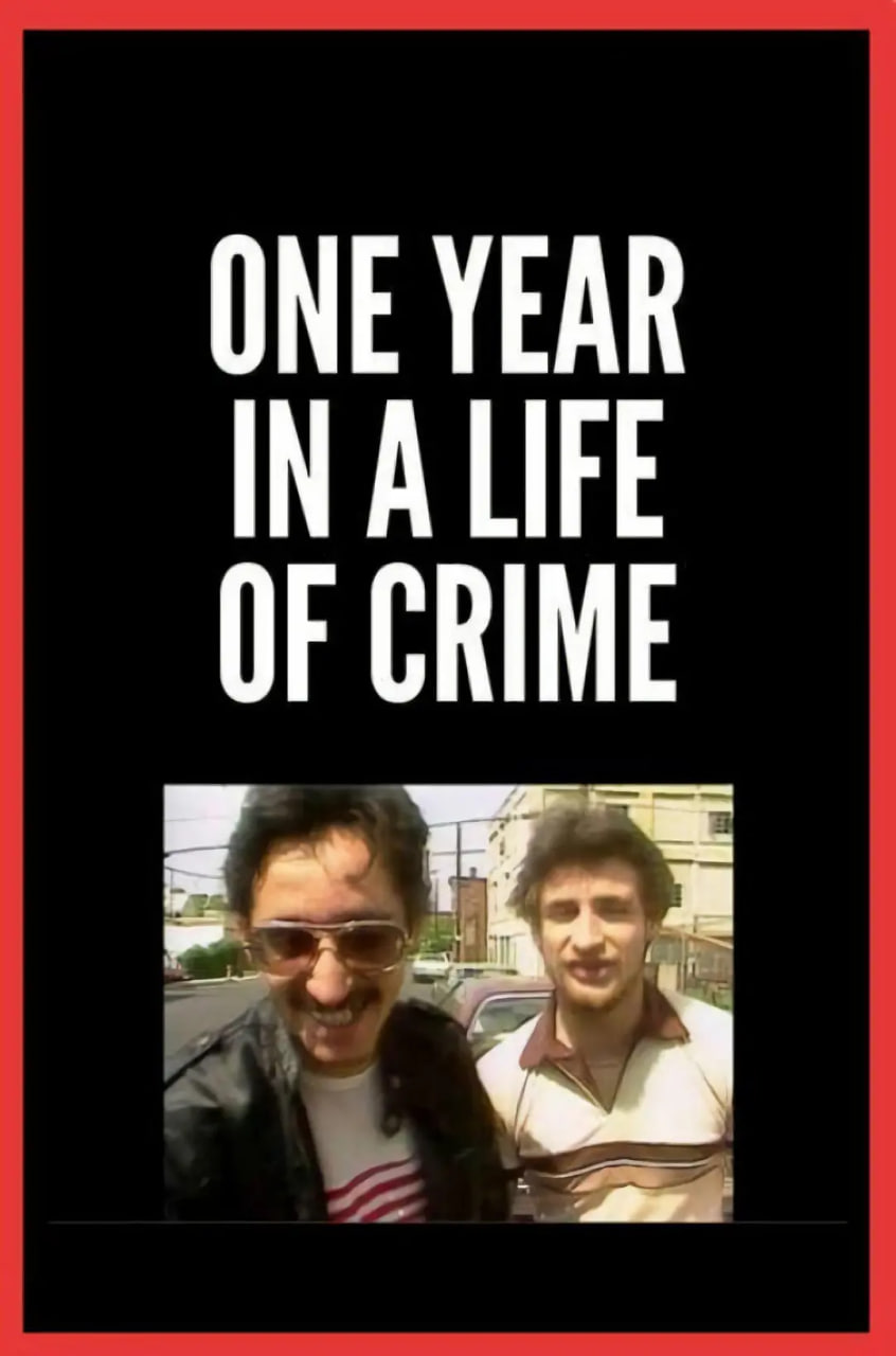 犯罪生活中的一年