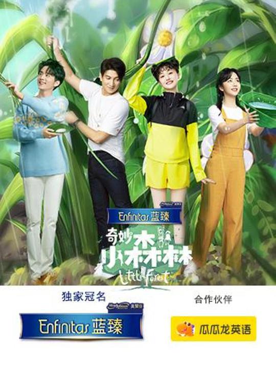 奇妙小森林