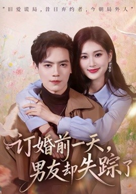 订婚前一天，男友却失踪了