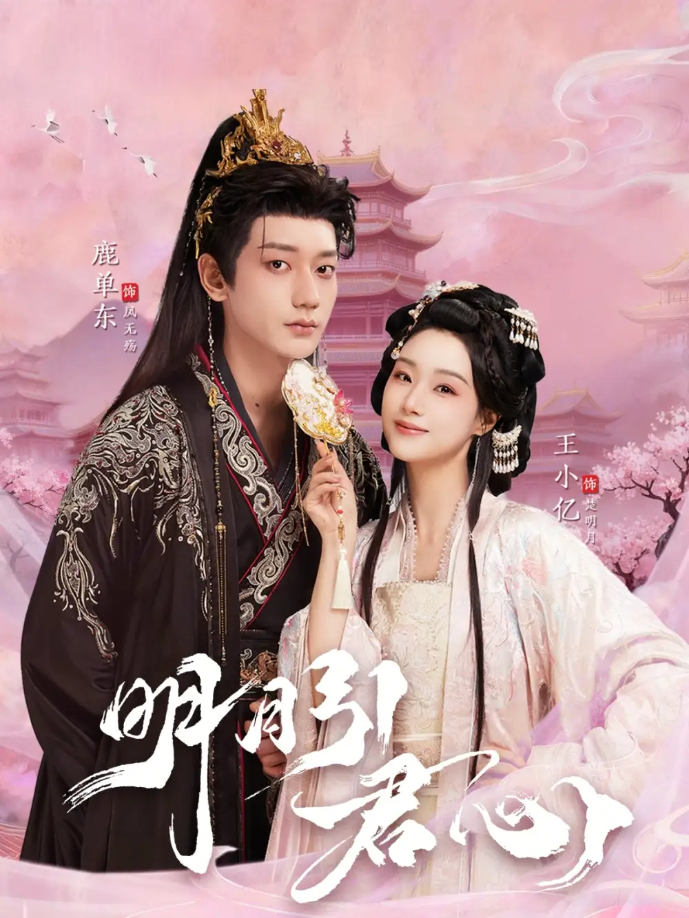 明月引君心